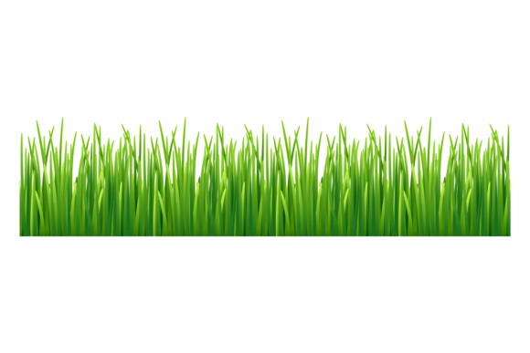 Download Grass Seamless Border. Green Lawn. Natur - Border Collection