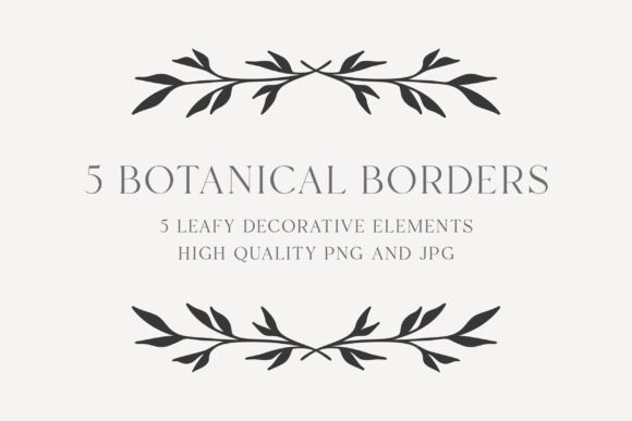 Download Botanical Border Bundle | Elegant Frames - Border Collection